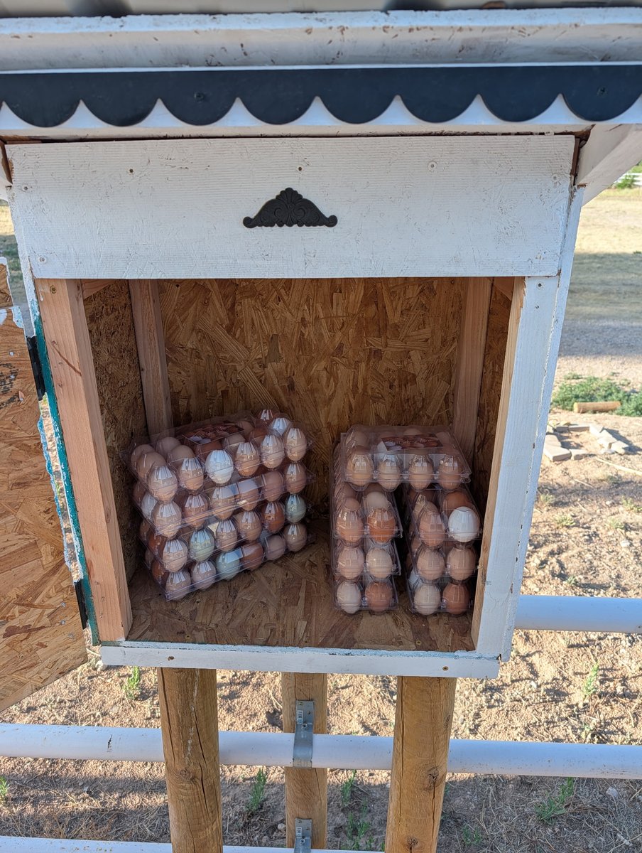 Farm fresh eggs in cartons at Lost Sheep Farm egg stand