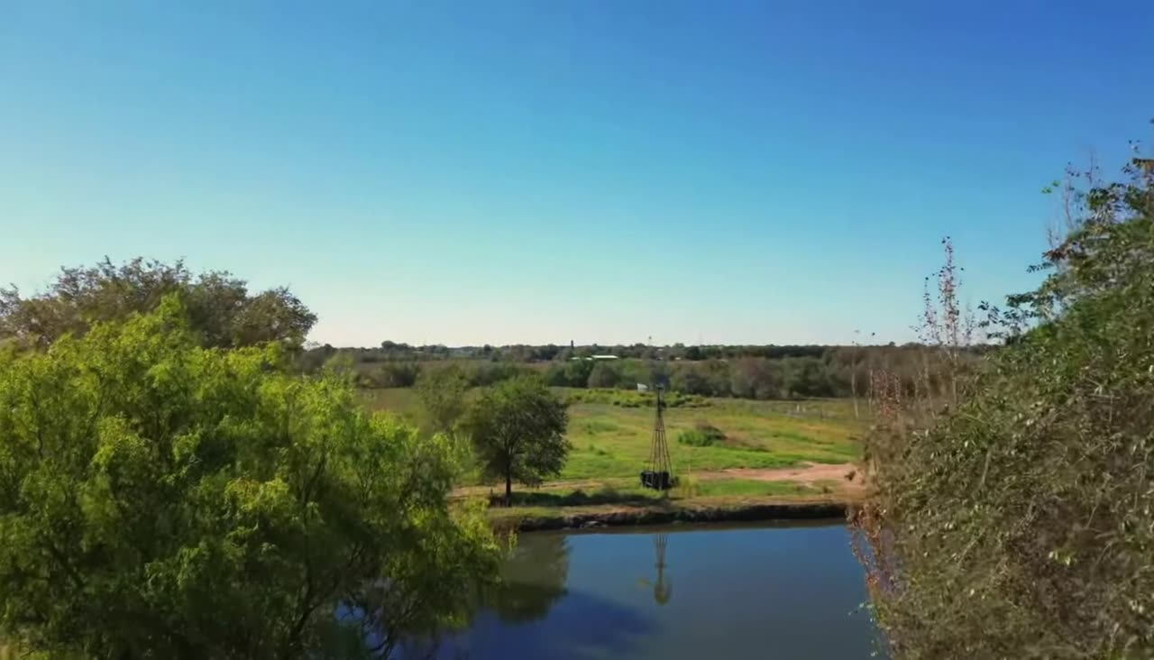 The Lost Sheep Farm pond